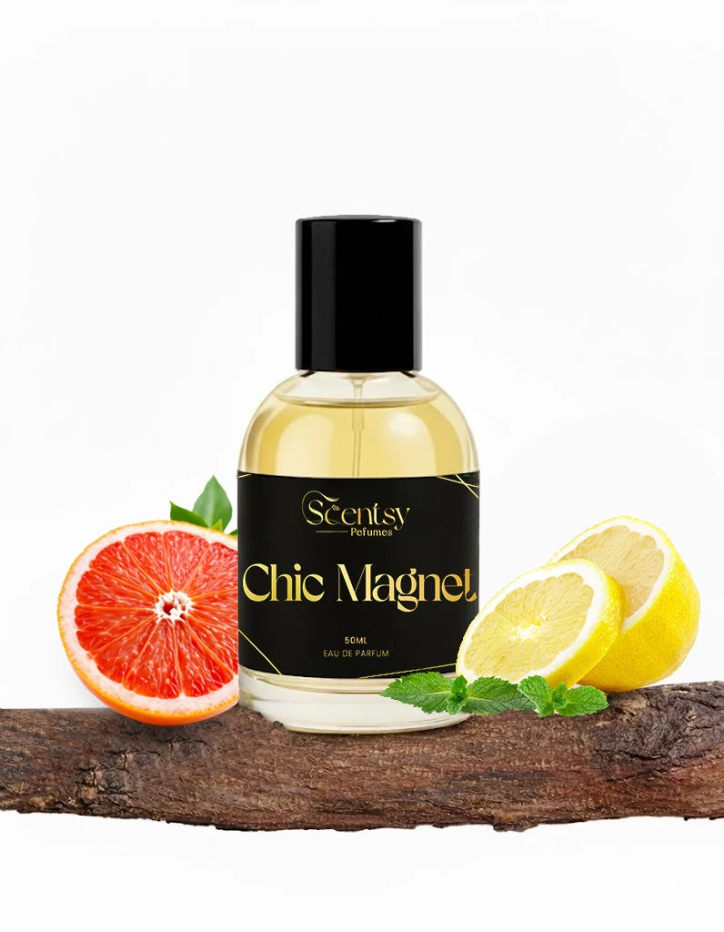 Chic Magnet Perfume for Men | Inspired by Rasasi Hawas