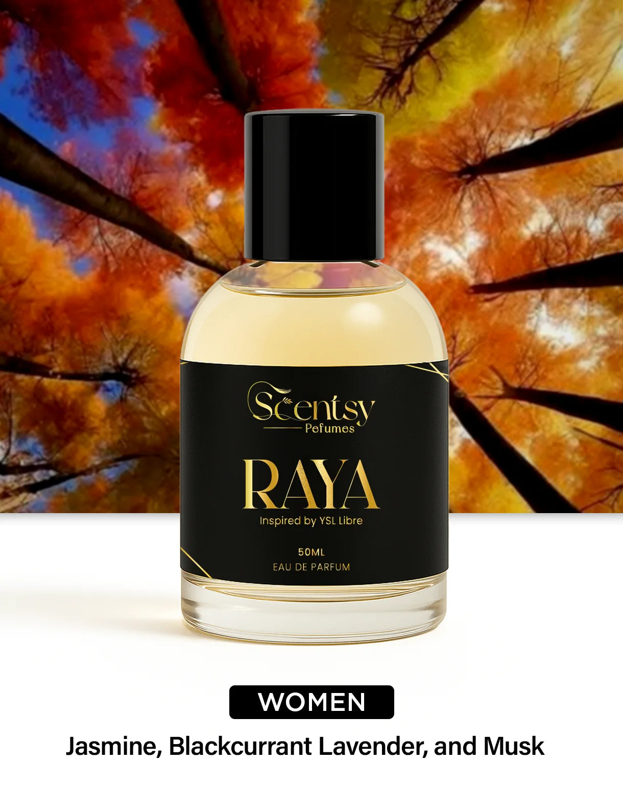 Raya - Inspired by Ysl Libre